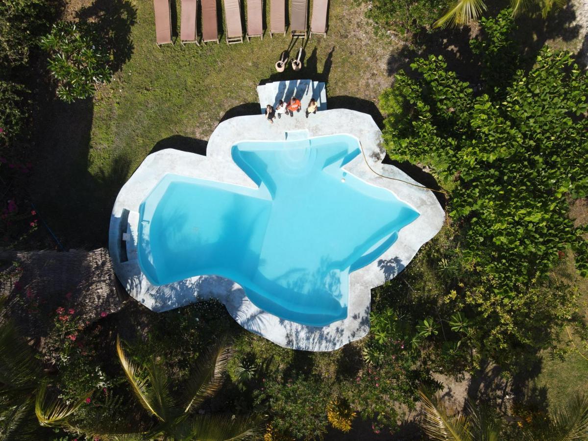 More Africa Guesthouse Paje Dış mekan fotoğraf